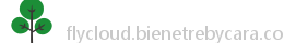 FlyCloud